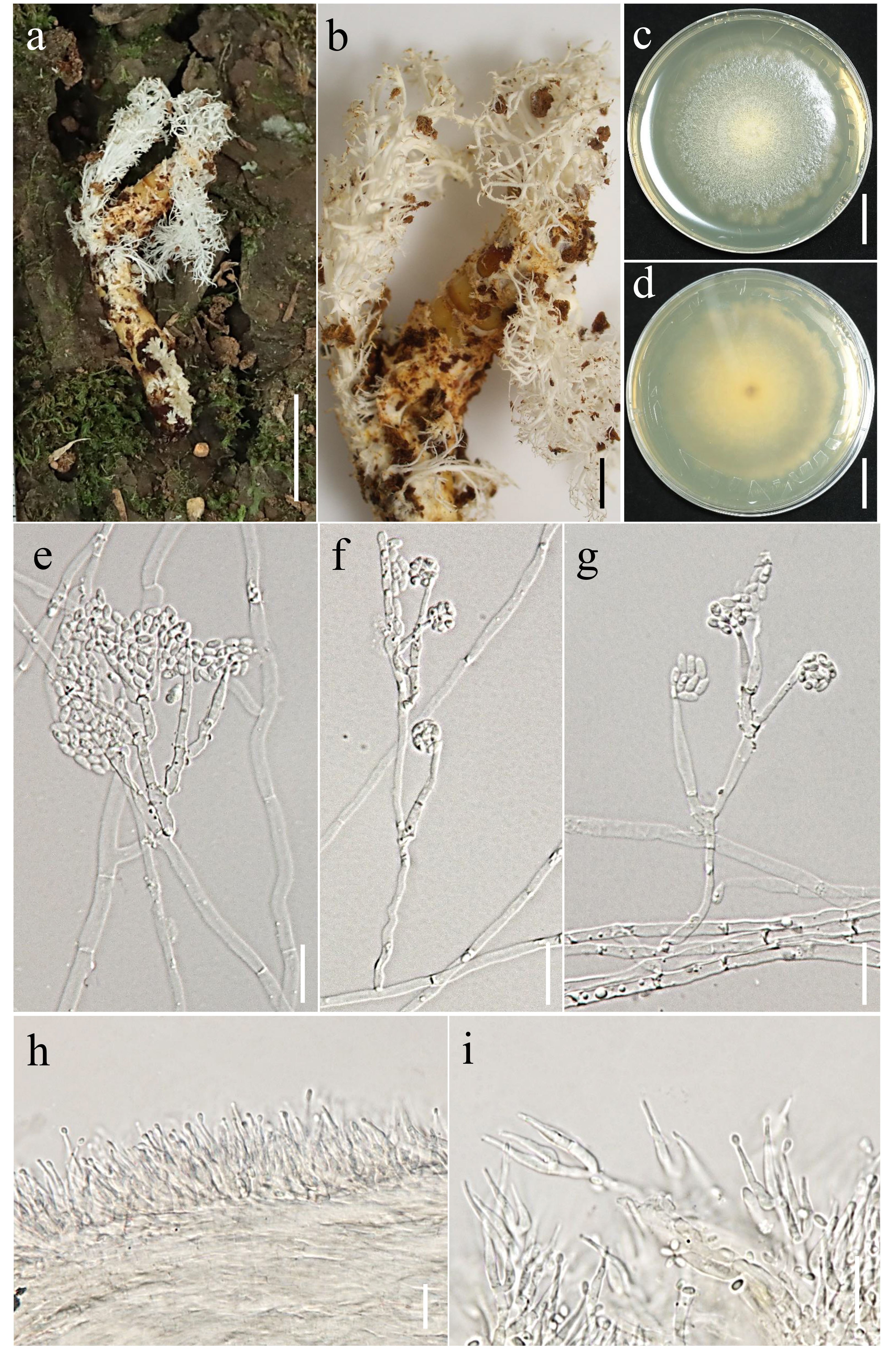 Figure 90